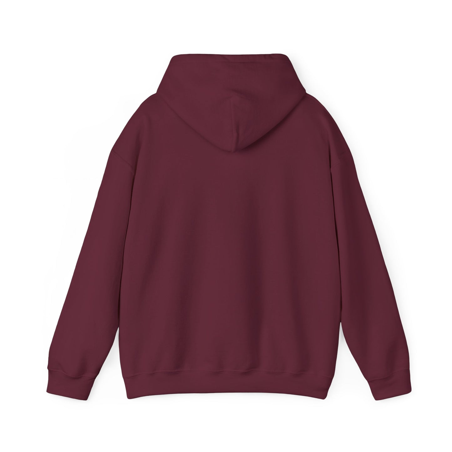 S2H Hoodie with White Logo