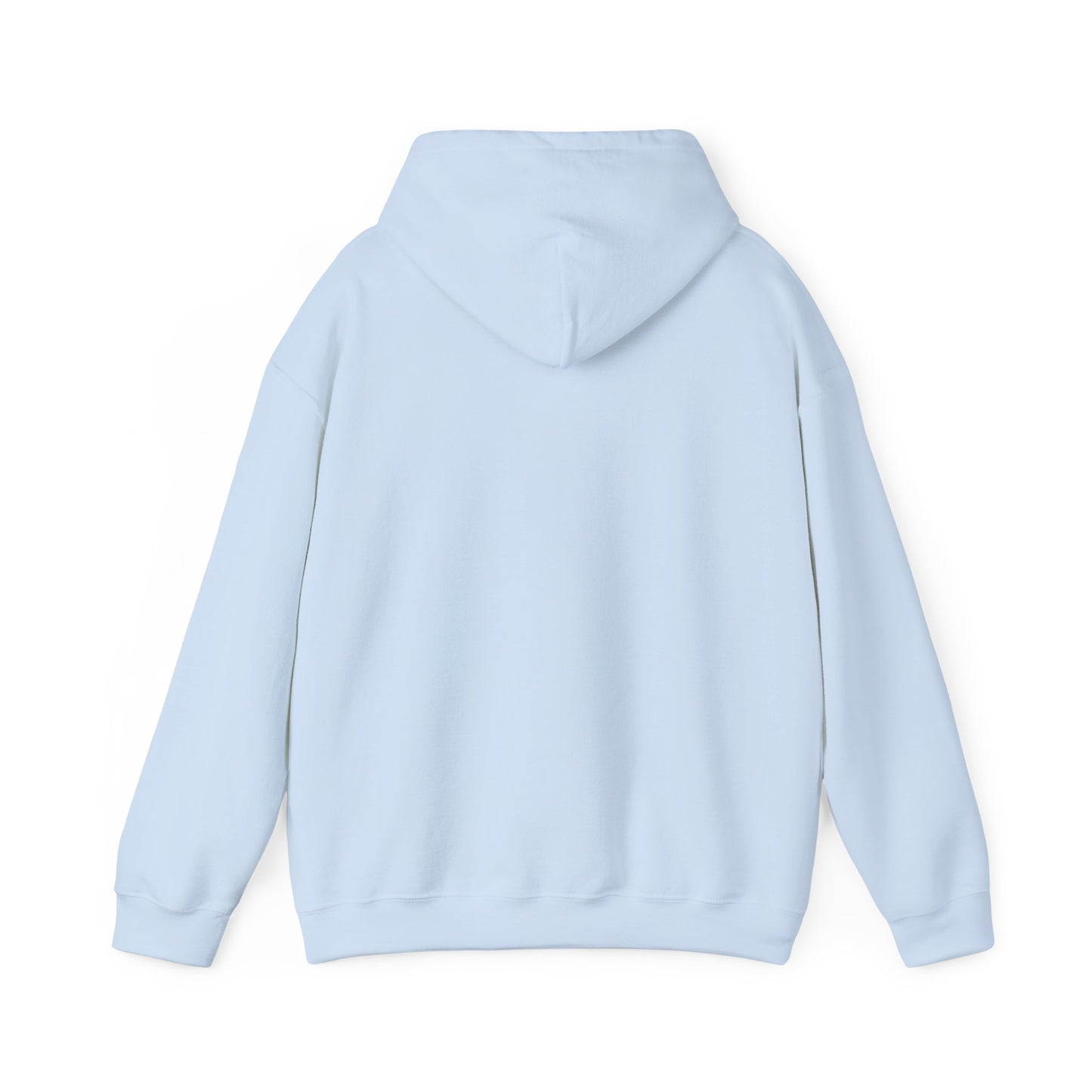 S2H Hoodie with White Logo