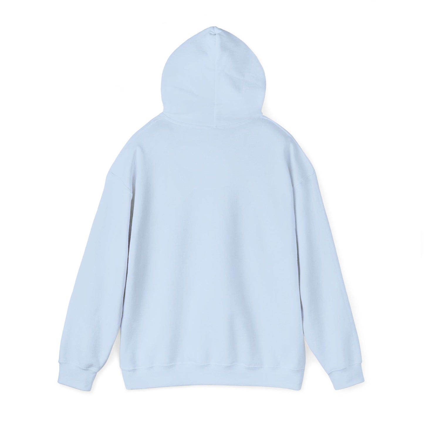 S2H Hoodie with White Logo