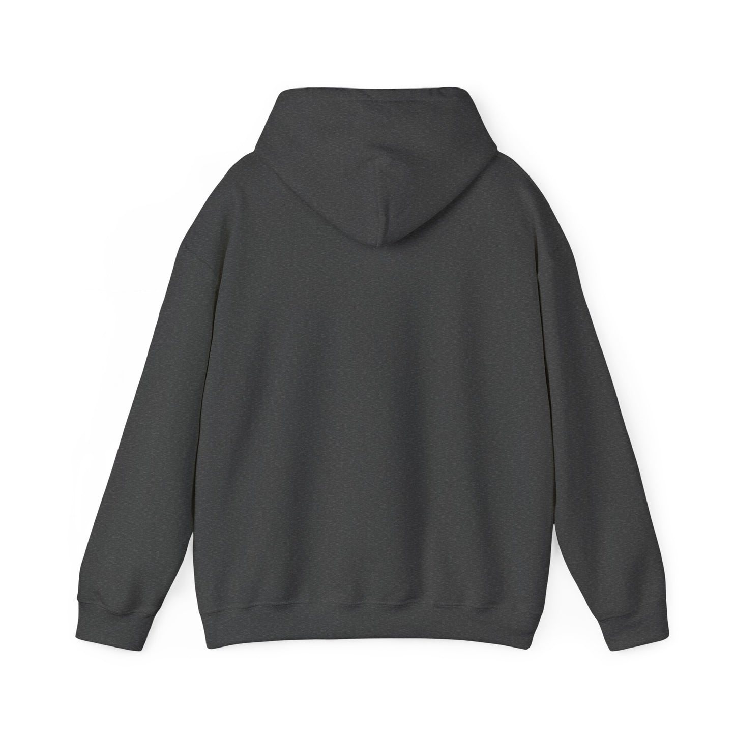 S2H Hoodie with White Logo