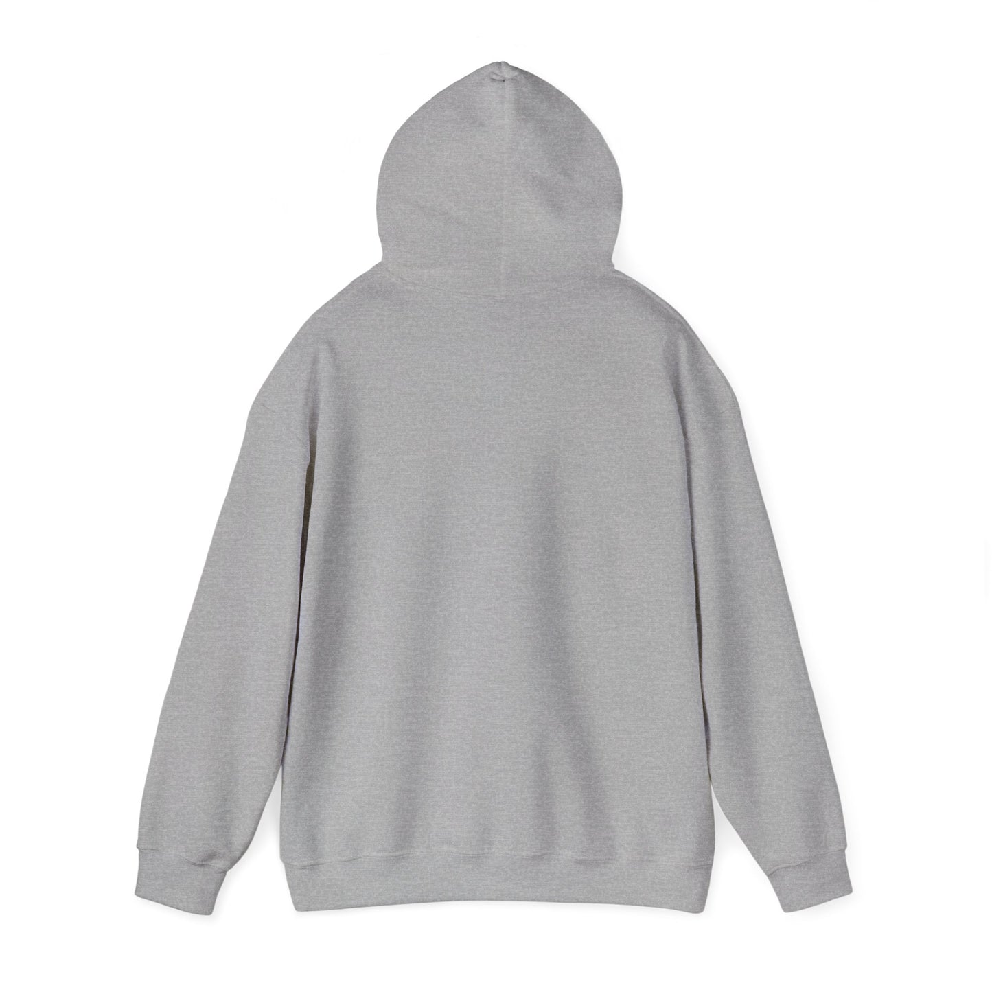 S2H Hoodie with White Logo