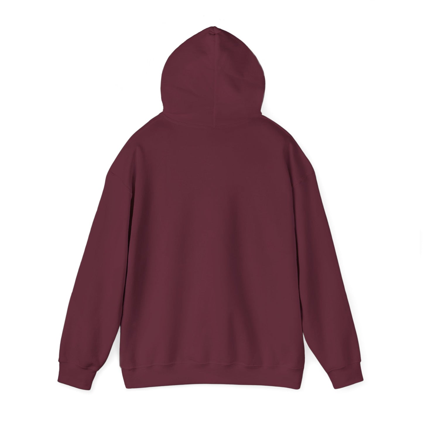 S2H Hoodie with White Logo