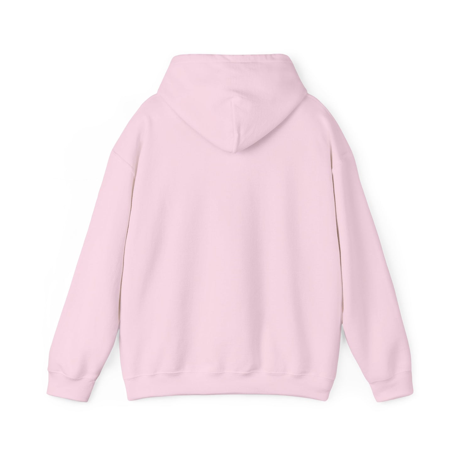 S2H Hoodie with Black Logo