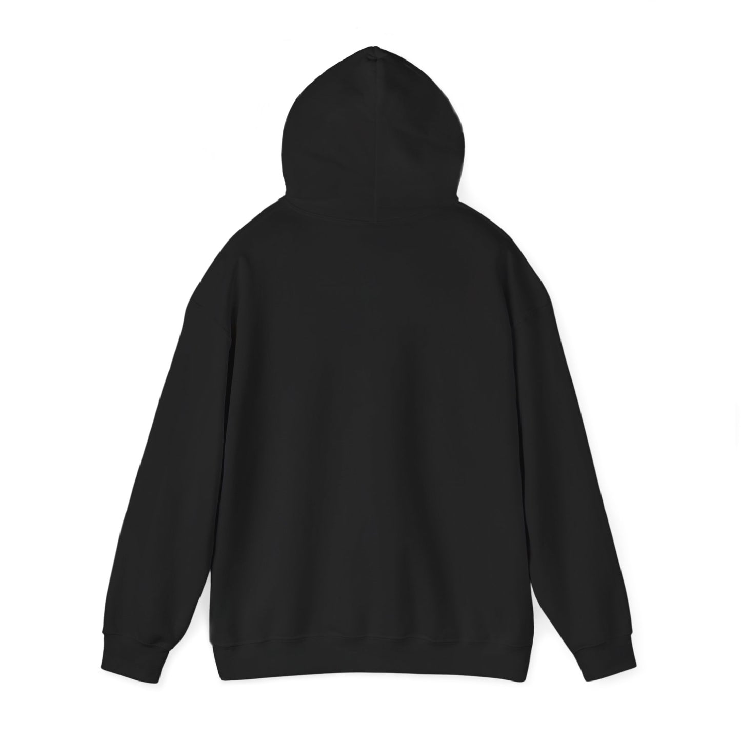 S2H Hoodie with White Logo