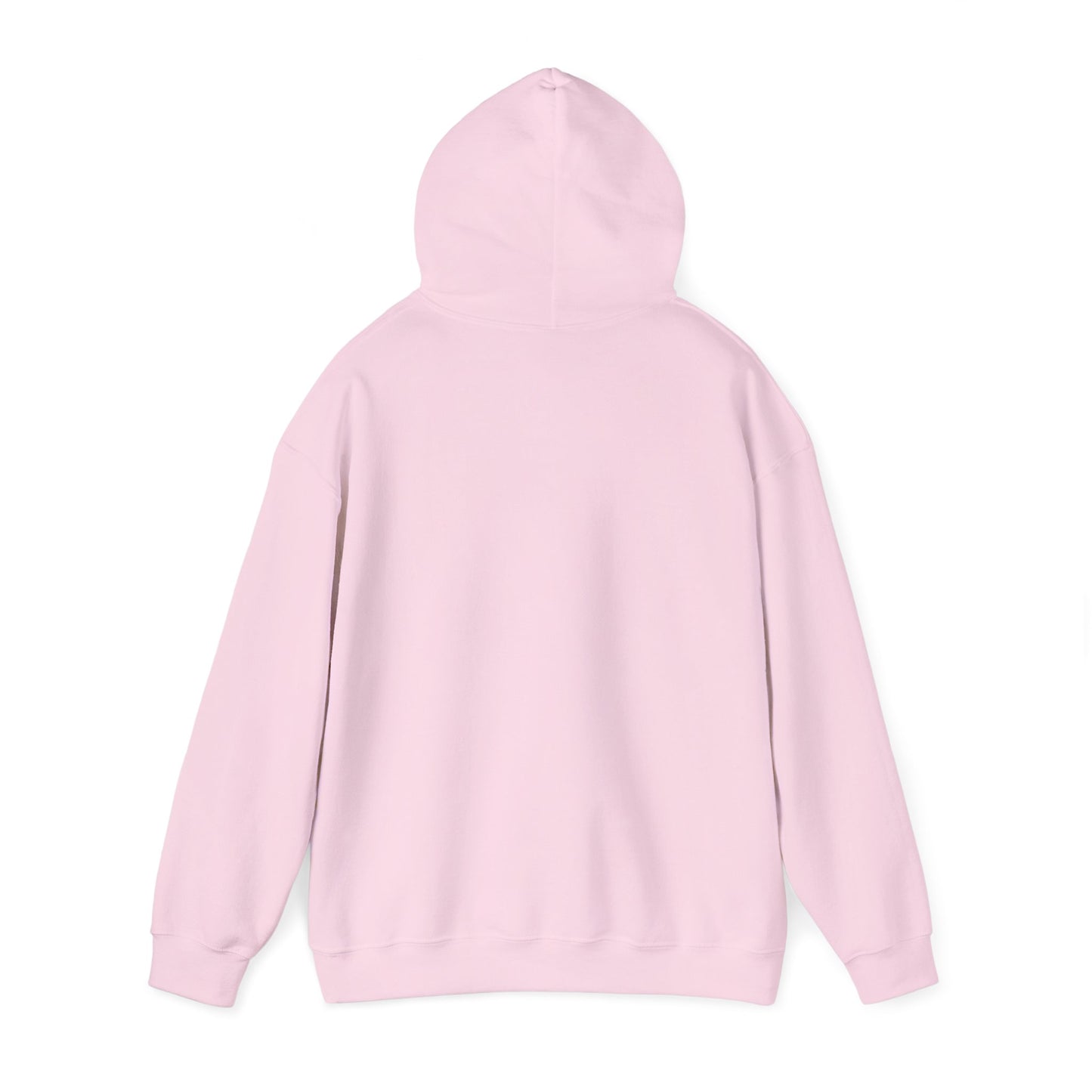 S2H Hoodie with White Logo