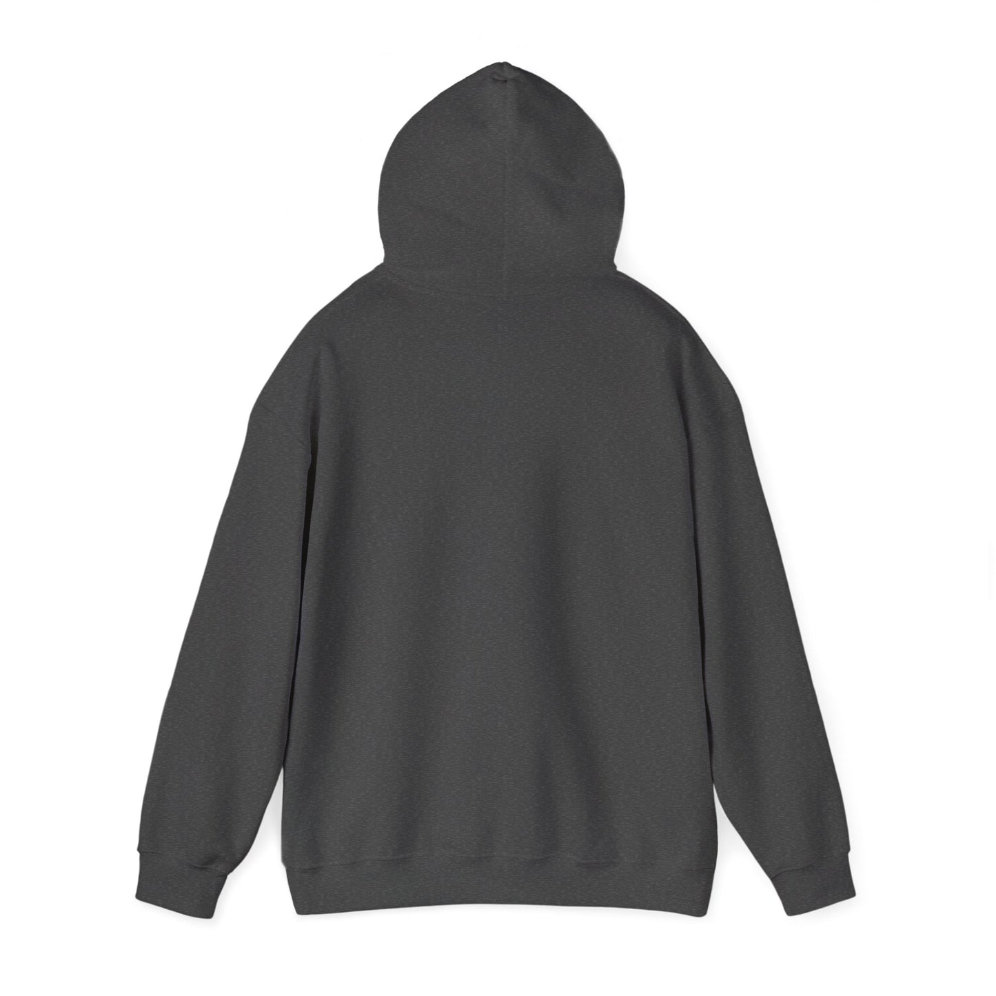 S2H Hoodie with White Logo